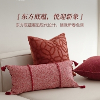 家居红色抱枕套新年布置高级婚庆结婚客厅沙发靠枕腰枕